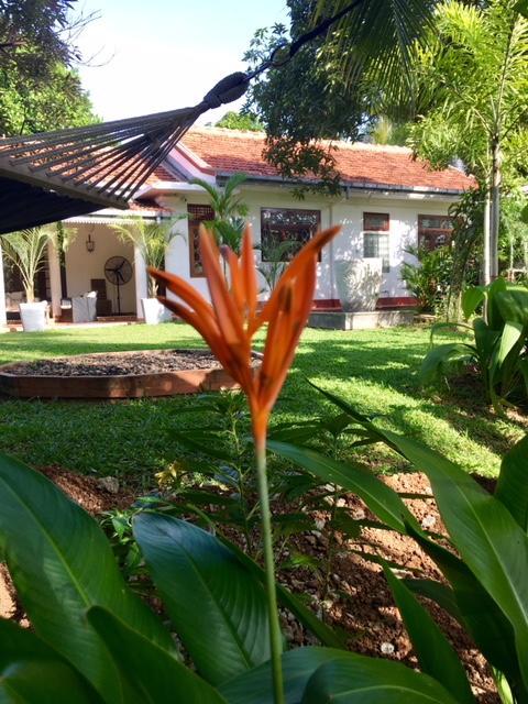 Temple House Villa Hikkaduwa Exterior foto